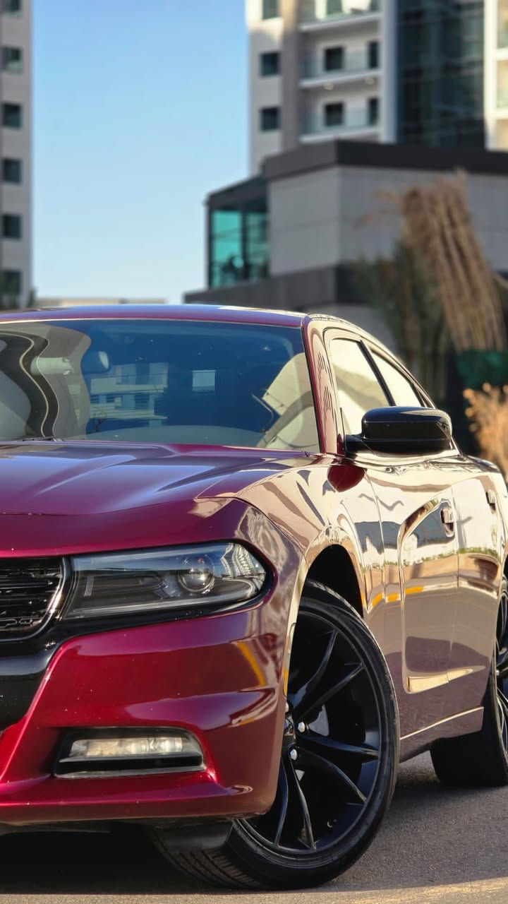 مكلف بالنشر
دوج جارجر SXT  2023 
حادثها جانبي سطحي بدون ايرباك بدون دواخل 
قطعة تبديل بلادي (لون مطابق) وقطعة صبغ
السعر 228 $ ورقة
المكان بغداد
***********
