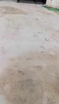 الجزيرة زين العابدين • ١٨٠م • ملك صرف زراعي