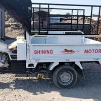 ستوته للبيع كلشي شراط منفيس محرك شرط 2024  شاصي شرط رقبه شرط السعر 140...