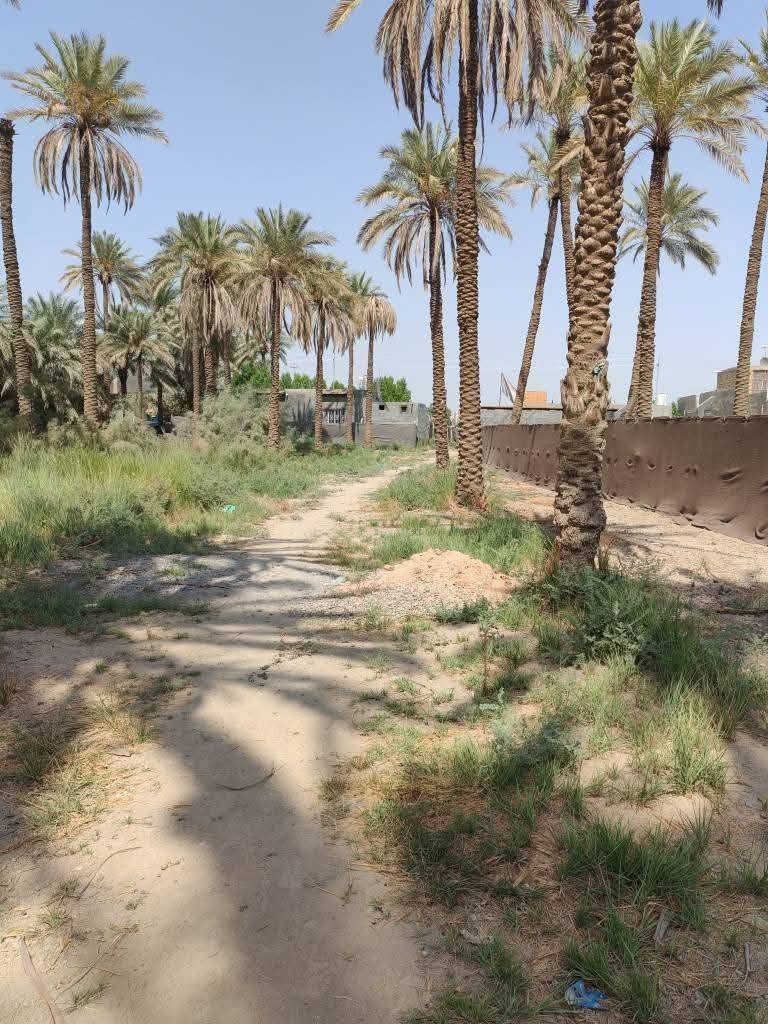 قطعه مساحتها 300متر العنوان بدايه بنشه نزله سعد بيجو طريق الزوار خدمات كامله تبعد عن جسر سيف سعد كيلو ونص وعن تبليط الرئيسي100متر
منطقه متكاملة من الخدمات سكنيه طابو زراعي سند25
مكتب وعقارات الوارث
***********
