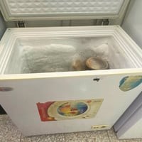مجمدة • للبيع