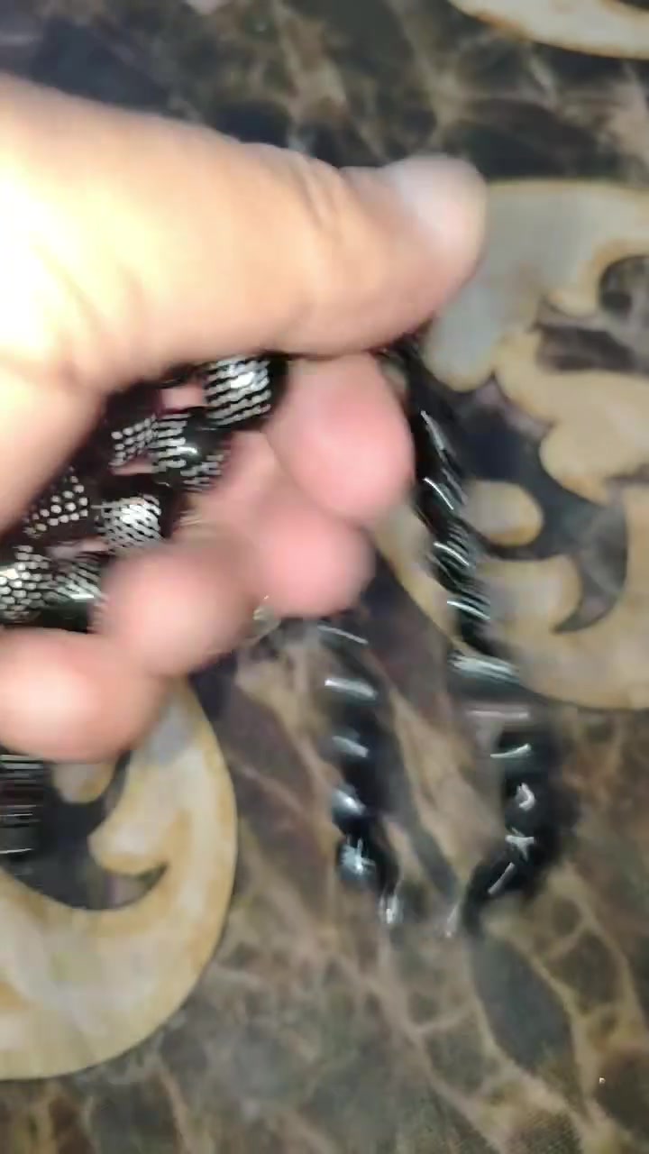 سندلوس الماني جراخه مصريه نادره


**إذا كنت صاحب هذا الإعلان وتريد حذفه لأي سبب، رجاءا أرسل رسالة إلى الدعم الفني**