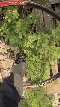 07864889090,,,29,,26🩷💜🖤