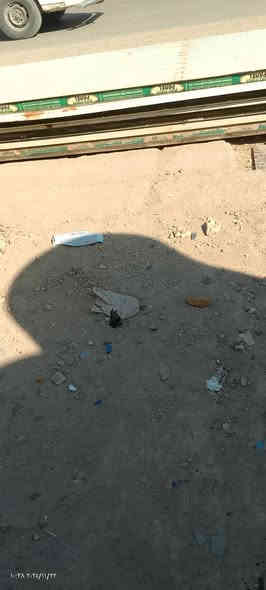 عندي سندويج ابو نحلة طول 10 متر 5 قطع تركي الشراي يتصل على الرقم التالي *********** مكاني بغداد
