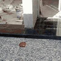 لعمل كافة انواع السيراميك والالواح بجميع القياسات وتطبيك الارضيه مرمر ...