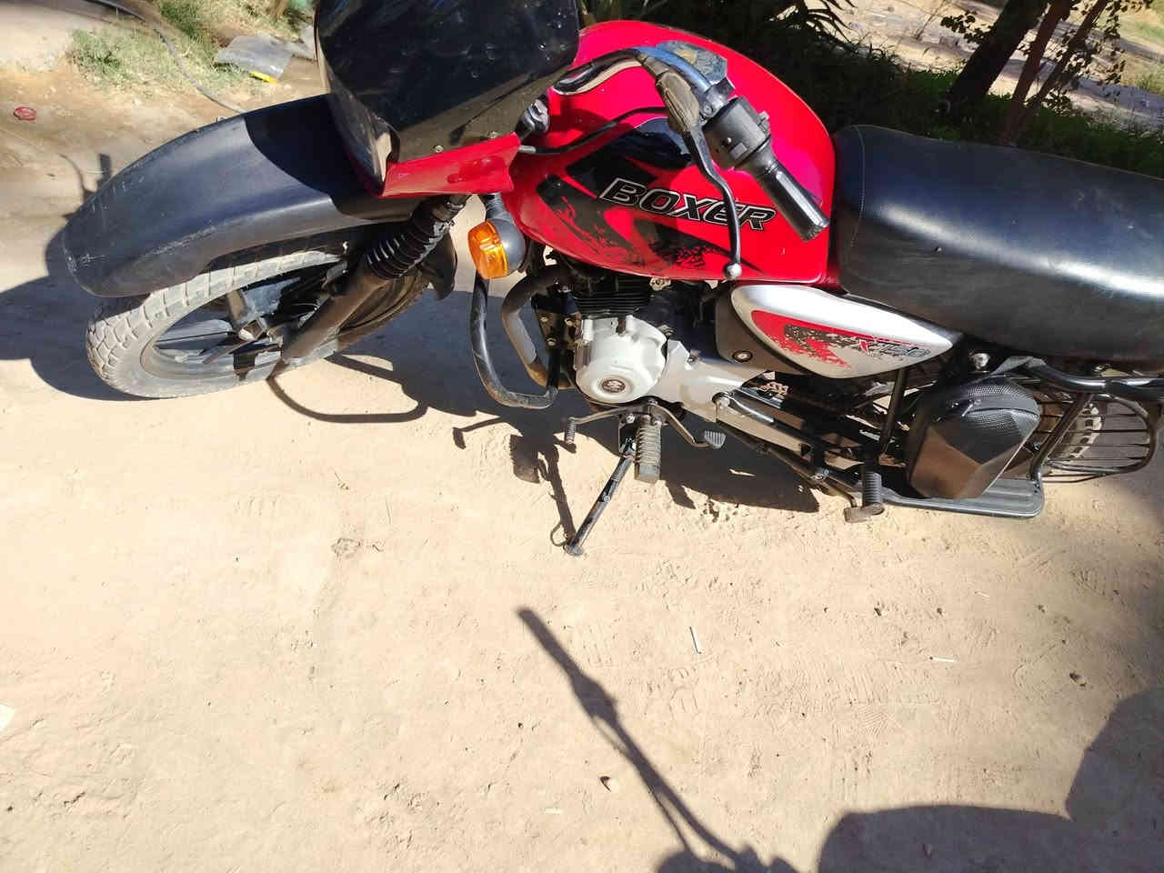 السلام عليكم بوكسر جبلي موديل 22 اوراق استنساخ الدراجه كفاله عامه جاهزه من الطول للطولل
عنواني بابل النيل
رايدها ب1100 بيها مجال ***********
