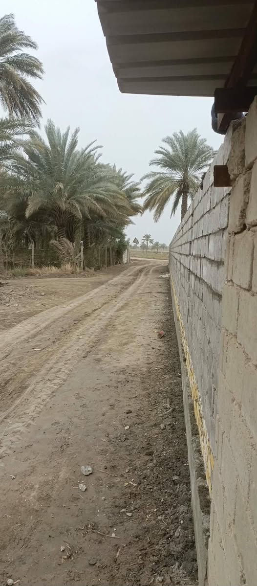 خلفه بناء ولبخ متفرغ
***********
