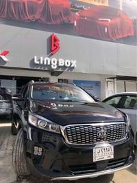 وارد امريكي • ٢٠١٩ • ٧ راكب