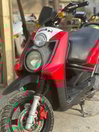 سكنس جبلي • مكملة • أوراق معرض