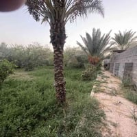 كربلاء رابط الزبيلية • دونم • واجه 21م