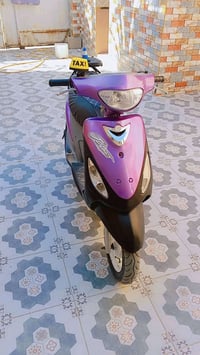 ماكس منغولي   السعر خاص  07882932383