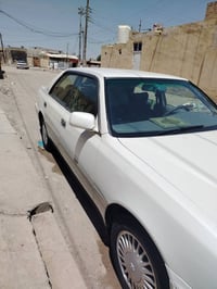 راس الثور للبيع فقط سيارة مكفولة من عيب شرعي ونقل جثه ولأصوليات والضرب...