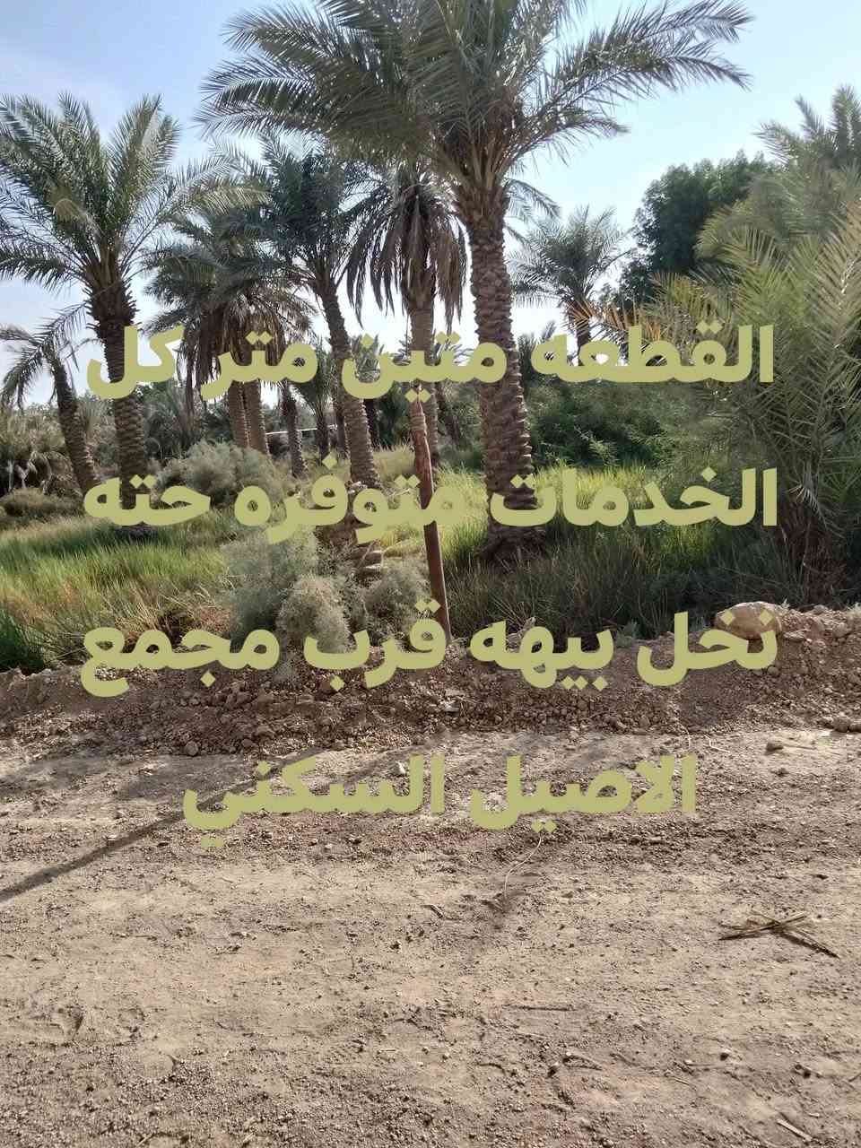 سلام عليكم عندي قطع البيع زراعي مساحه متين منطقت النياز كل الخدمات متوفره حته نخل  بيهه وهاذه رقمي بس الشراي يخابرني المو شراي لا يخابرني ***********
