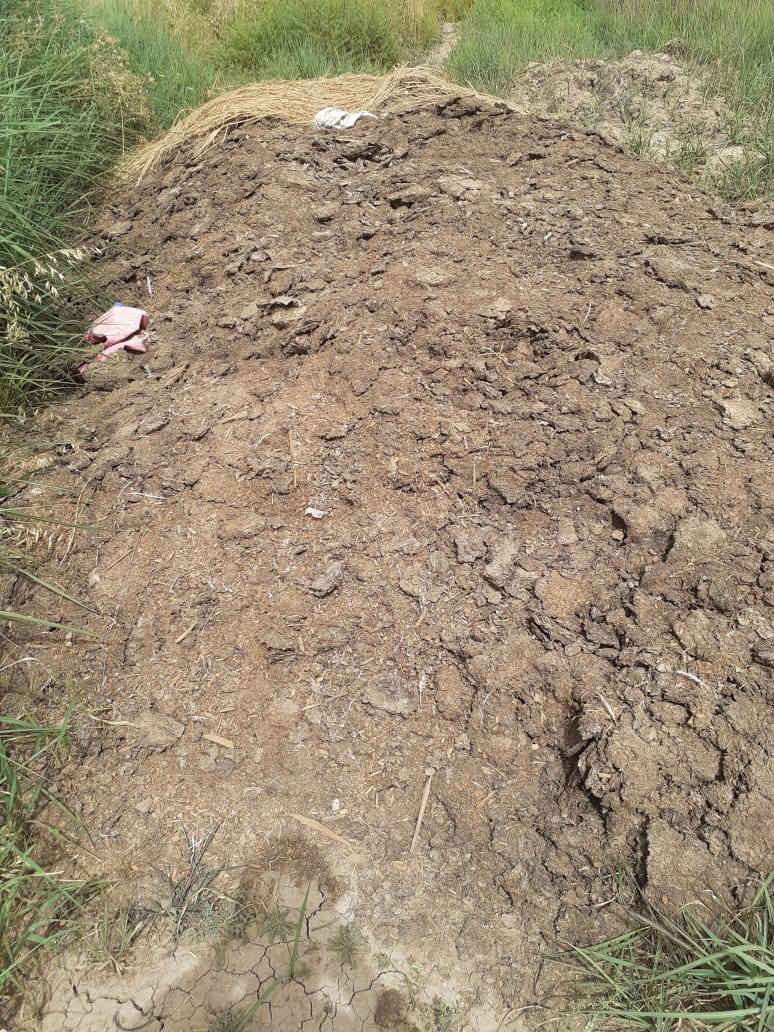 سلام عليكم متوفر دمن دجاج (دواجن)نضيفات درجة اولا مثل ماموضح بل صوره بيهن كيا محجر وربع وذا بيهن زايد الك  السعر 250وبيهن مجال حك جيه  بصيط لعنوان لطيفية كيلو 25واهذ رقمي متواجد جد فيس وعله رقم افضل #الجميع 
*********** مصطفى حسن
