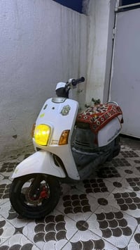 رمبه • بوليس • مكفول
