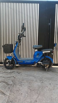 باسكل شحن • مقاس ١٤ • سرعة ٦٠