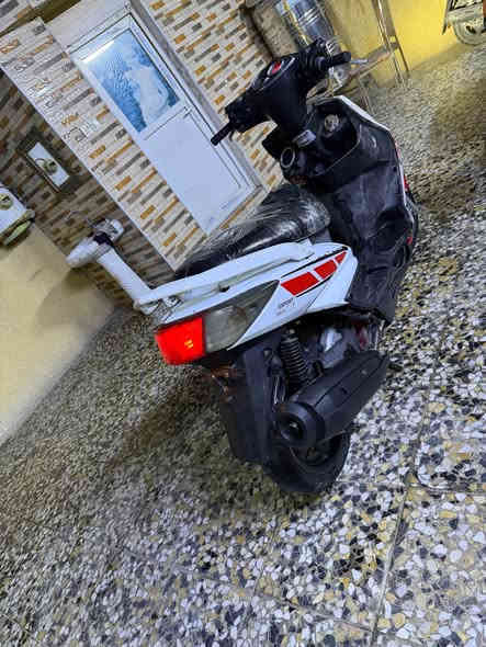 سكنس فحل بلاديه كامله مكفوله مكينه شلعه معدل فول مابيه نقص بس تريشه اليمنه سعره 450

مكان العبيدي

‭٠٧٧٢ ٦٦١ ٤٤٣٤‬ بغداد
