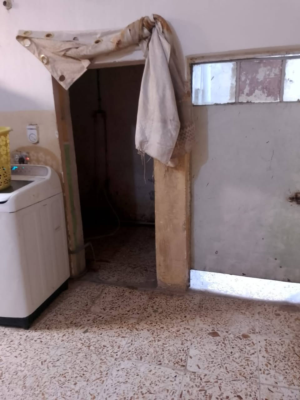تفاصيل بل صوره
