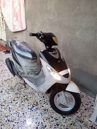 ماكس منغولي • سودة • اوراق وكيل