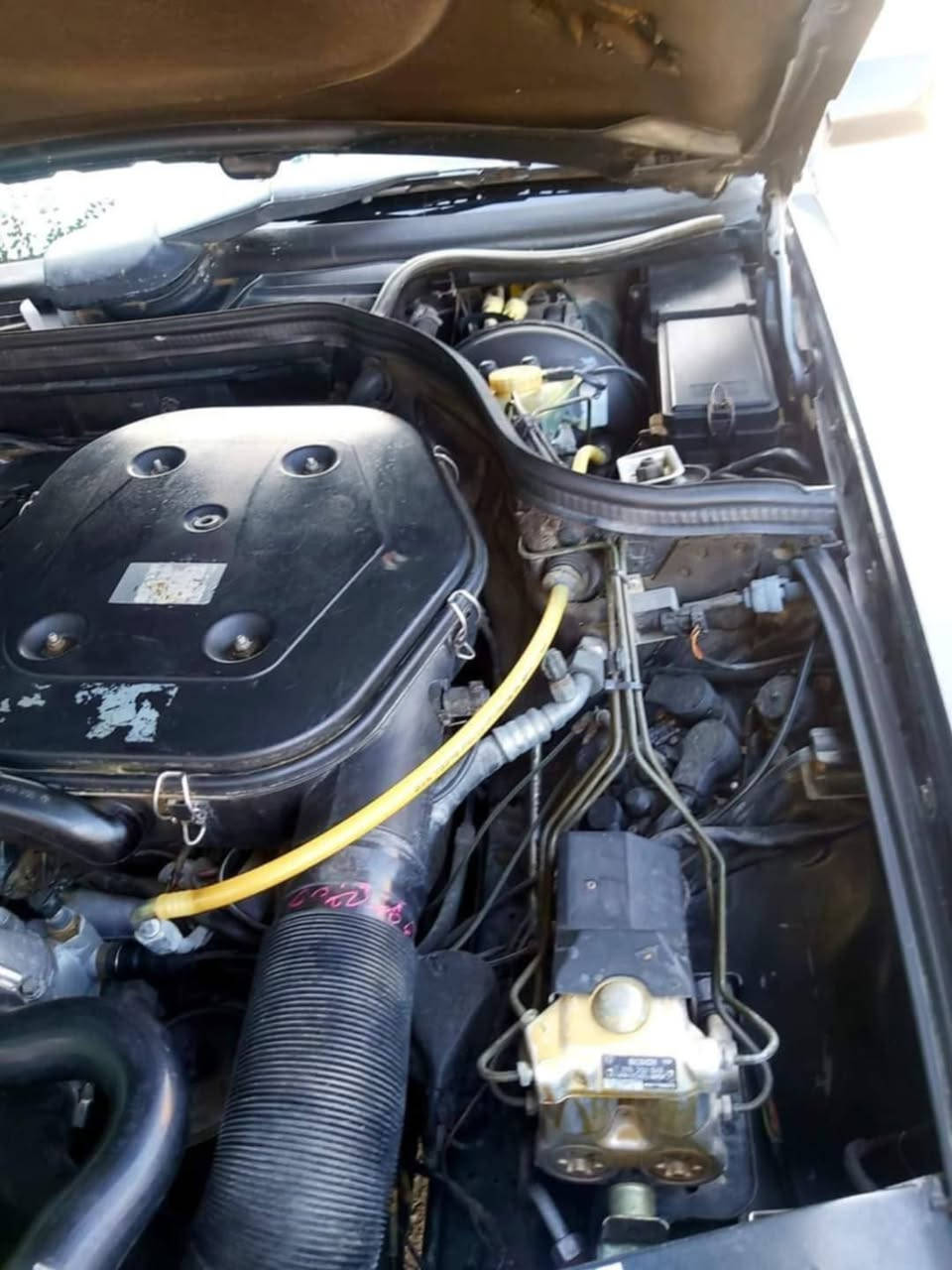 بيبي شبح موديل 91 رقم بغداد سنويته للشهر 11 مكينة وكير خير من الله تدفئة تبريد كله شغال بردة خلفية شغالة حتى التجوات الخلفية شغالة أريل ينزل ويصعد ويا السويجج
تخم سماعات مع دمام خلفي منضومة لايت زنون شمسية كاملة فتحت سلايد طكيتن شغال أدامة كاملة على المكينة حتى امصور التفاصيل كاملة صدر امامي وخلفي كله جديد تخم تاير مع باتري جديد 
تحويل مباشر بأسم ولد صديقي السعر ب 88 وبيه مجال العنوان ديالى الغالبية قرب محطة تعبئة وقود عين الشمس للأستفسار ***********
