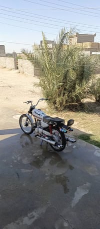 تايكر • ٥ كير • ٢٠٢٤