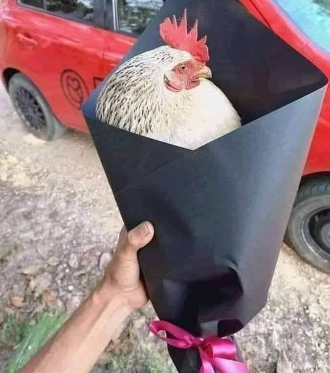 احذيه نايك حجم ٣٨ و٤٣ الواحد ب ١٥ تربح ديج هدية


**إذا كنت صاحب هذا الإعلان وتريد حذفه لأي سبب، رجاءا أرسل رسالة إلى الدعم الفني**