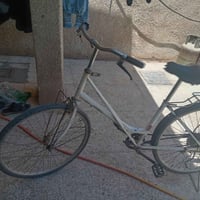 باسكل • متاح