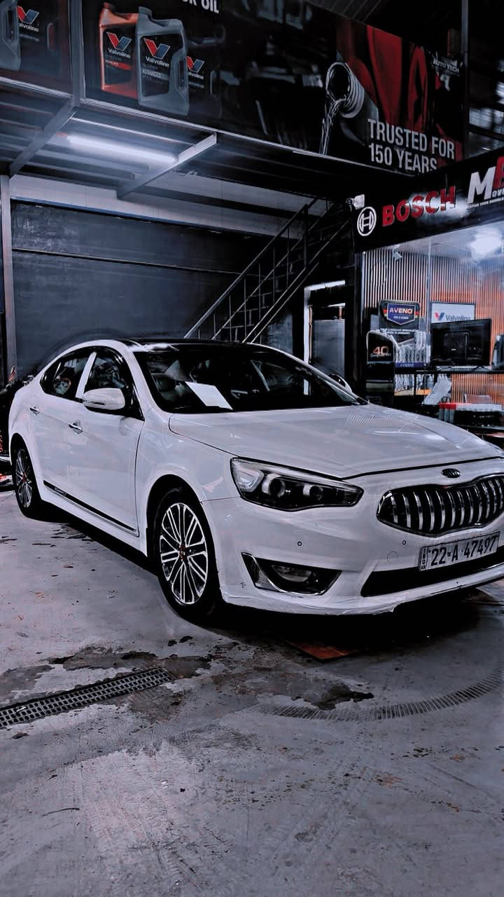 مباع 🕹️🕹️🕹️🕹️🕹️🕹️
للبيع كيا كادنزا 2014 خليجي VIP — أعلى فئة (1/1)
رقم اربيل
المواصفات:
 • محرك V6 سعة 3500 cc قوي وناعم
 • تشغيل بصمة + بصمة أبواب
 • فتحة بانوراما
 • كشنات جلد بيضاء فاخرة مع تدفئة وتبريد
 • تحكم كهربائي بالكشنات الأمامية
 • نظام تبريد مزدوج + تبريد بيانو
 • نظام إنارة مميز: زينون + لد أمامي
 • ستارة خلفية كهربائية
 • شاشة وكاميرا خلفية + حساسات رجوع
 • جنط 20 إنش أصلي
 • كشن خزن
 • مريّات كهربائية قابلة للطي مع إشارة
 • تحكم كامل من الستيرن

—————————————————-
السعر 140 وبيها مجال

***********
