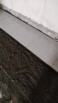 حلة بابل • التاجية • خدمات