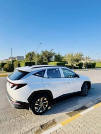 توكسان خليجي • ٢٠٢٤ • رقم اربيل