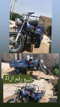 ستوته • ٢٠٢١ • رقم سنوية