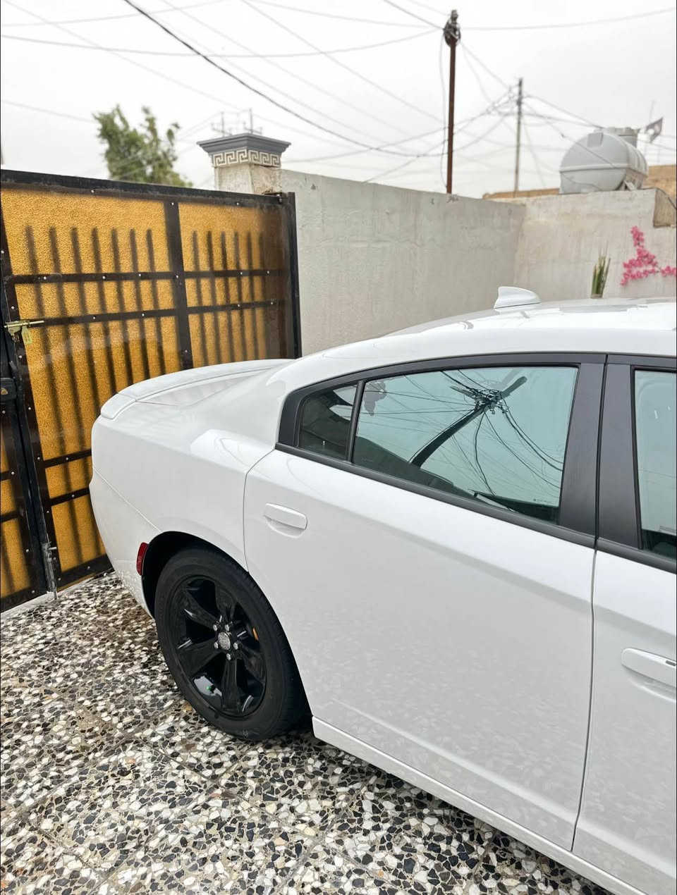 سلام عليكم للبيع ويل 18 مع تخم تاير انتاج 24 مكفول من زلغ  اصلي لاعواج ولاتصليح سعر 650 الف وبي محال لطيبين عنوان بابل مركز للاستفسار خاص حلة, بابل


**إذا كنت صاحب هذا الإعلان وتريد حذفه لأي سبب، رجاءا أرسل رسالة إلى الدعم الفني**