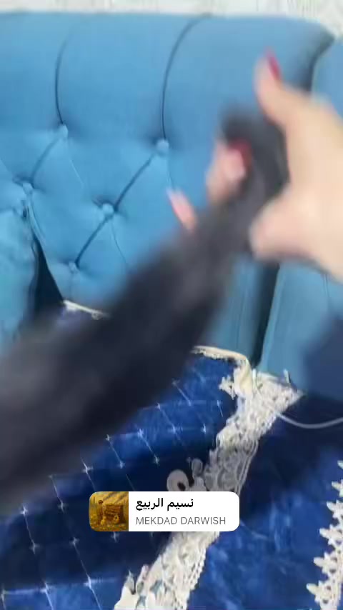 باروكه
 الشعر طبيعي من جذر لحد نهايه الشعر. -+خصلات كوكيز مع مايكرو


**إذا كنت صاحب هذا الإعلان وتريد حذفه لأي سبب، رجاءا أرسل رسالة إلى الدعم الفني**