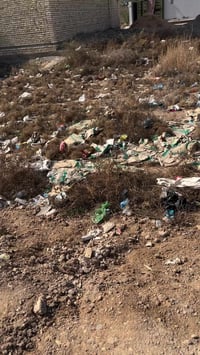 اعلان (28) (✦────────────────────✦  السلام عليكم ورحمة الله وبركاته 🌿 ...