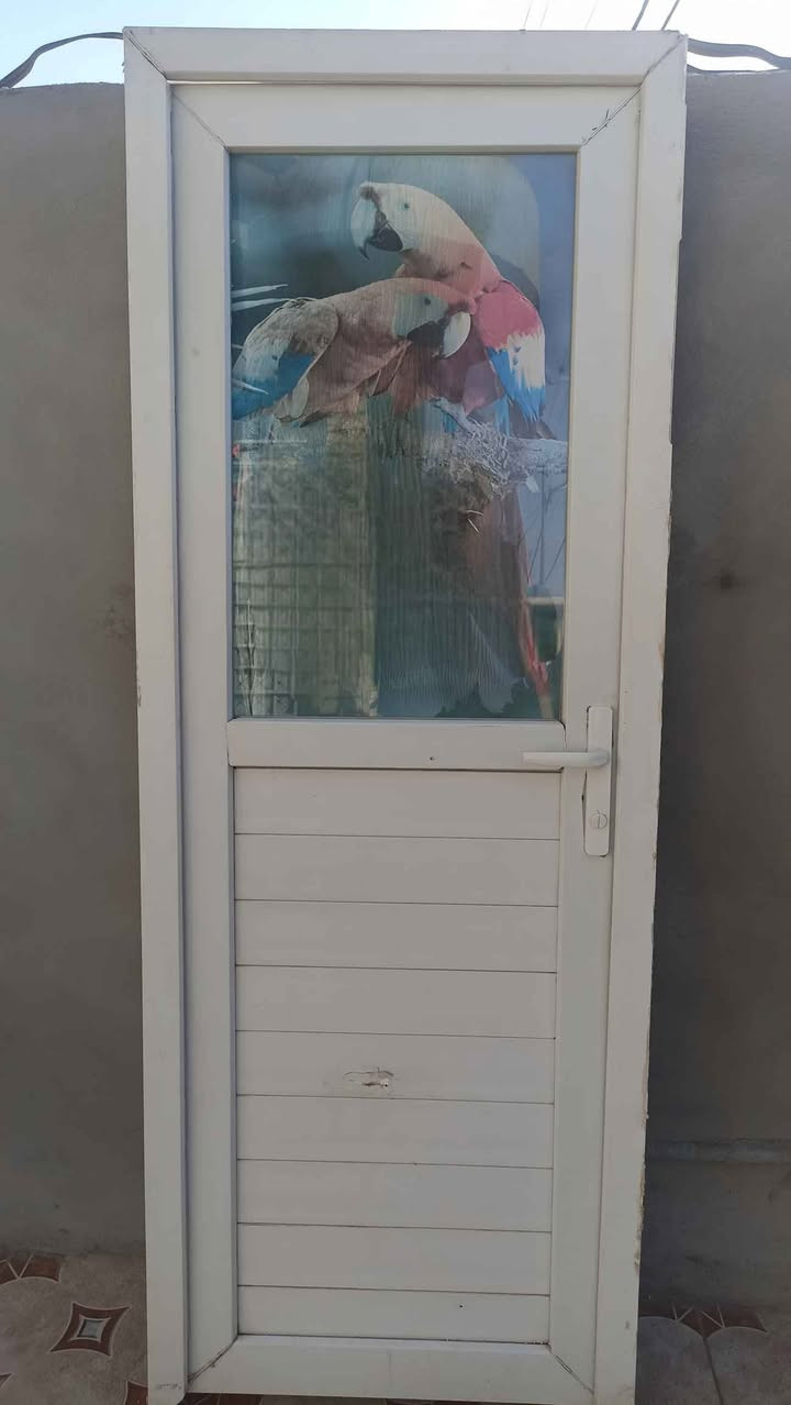 🔸باب صحيات pvc للبيع مستعمل و نظيف
🔺 القياس : ارتفاع ٢ متر ، عرض ٧٥ سم
💲 السعر : قفله ٢٥ الف 
📍مكاني حي العسكري

للإستفسار اكثر خاص.. كربلاء, العراق


**إذا كنت صاحب هذا الإعلان وتريد حذفه لأي سبب، رجاءا أرسل رسالة إلى الدعم الفني**