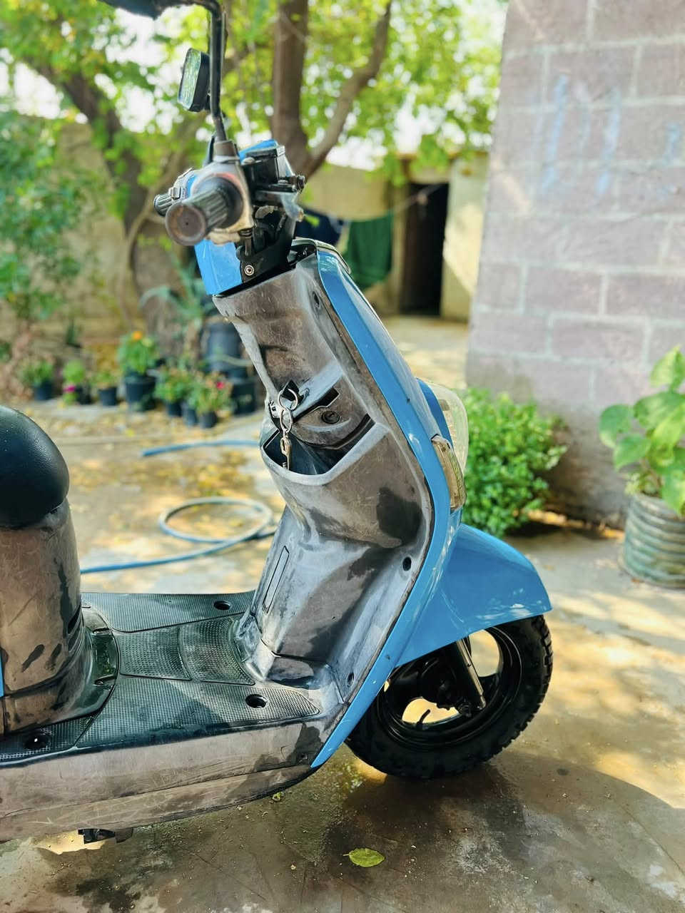 بوليس أخت جديدة شخط مابيها شغل وطلع  صالنصة رياضي سعرها 600مجال قليل حك جية مكاني بغداد


**إذا كنت صاحب هذا الإعلان وتريد حذفه لأي سبب، رجاءا أرسل رسالة إلى الدعم الفني**