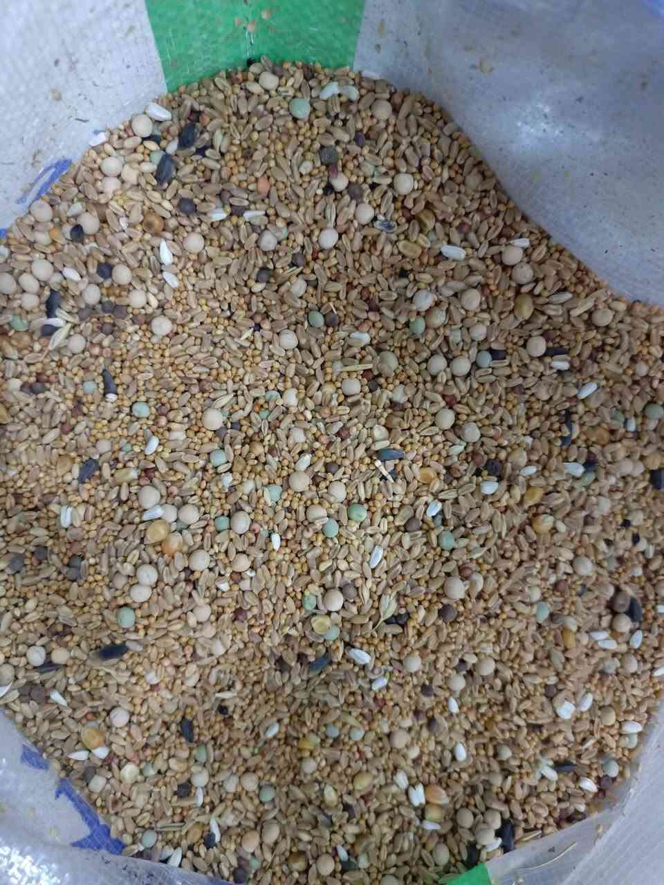 على بركه الله وصول اعلاف حيدر البنداوي خبطة الفقير 20كيلؤ ب14الف خبطة صيفية درجه اولى 

العنوان النهروان منطقة سبع تالاف قرب جامع الامام علي ع 

مقابيل ملعب علي فاخر 

اتصال ***********واتساب مازنجر

