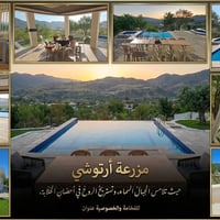 يا طارد الضيـق والـعـنـا .. ومـفـارق هـمـوم الـمـديـنـة  بـ ديـار أرتـ...
