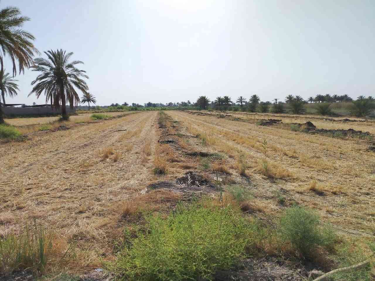 للبيع
٤ دونم 
سند ٢٥
كافة الخدمات متوفره 
مي اساله 
كهرباء
تبليط
اسواق 
مدارس 
انارت شارع 
١٥٠ متر ع شارع هوئ الشام
بابل منطقه هوئ الشام 
للستفسار ***********
اتصال فقط اني مكلف اخوان مكلف بل نشر
