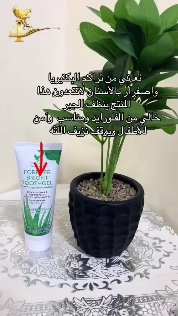 مو بس معجون… هذا سر ابتسامة مرتبة ونفس منعش طول اليوم ✨🦷
نظافة عميقة وحماية أقوى حتى تبقين واثقة بكل ضحكة 💙


**إذا كنت صاحب هذا الإعلان وتريد حذفه لأي سبب، رجاءا أرسل رسالة إلى الدعم الفني**