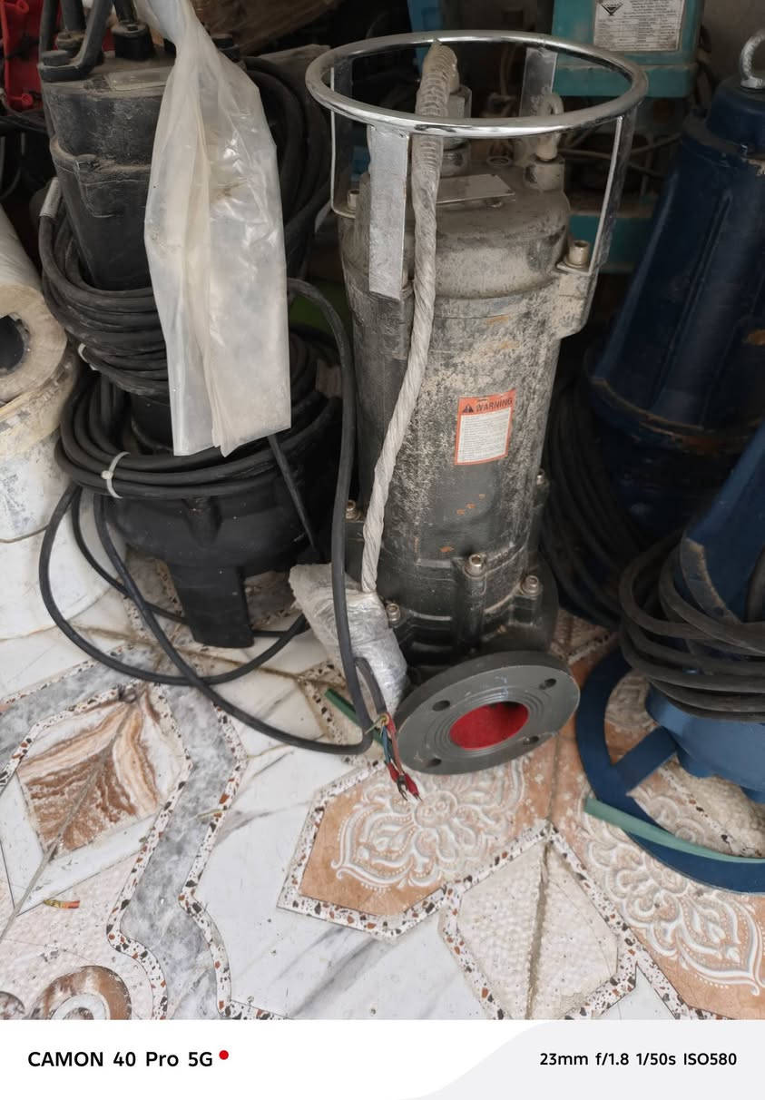 للبيع قطسات ألماني   إيطالي للبيع***********
