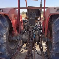 تنقتل للبيع انجليزي السعر 17 بمجال 07885831889