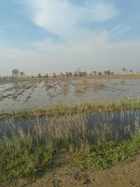 8 دوانم • الشيخ عامر بلعيساويه • خدمات كاملة