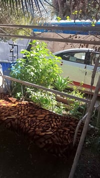 مرجوحة • الكرخ • سعر مناسب