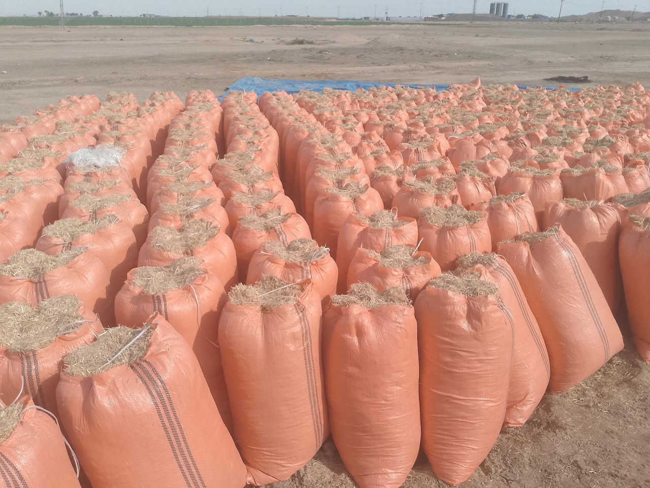 السلام عليكم عندي تبن للبيع قضاء سامراء الزوج ثلاثه واللي يريد يتصل على الرقم ***********
