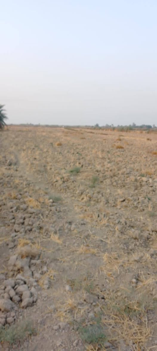 كاع 7 دونم ال عواد الرعدة
الاستفسار ***********
