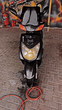 زيونه • دراجه فحل • سكنس