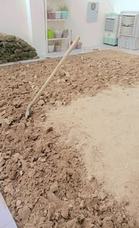 اشتقل جميع الحدائق والبساتين  وتنظيف الحدائق من الدغل وتقليم الأشجار  ...