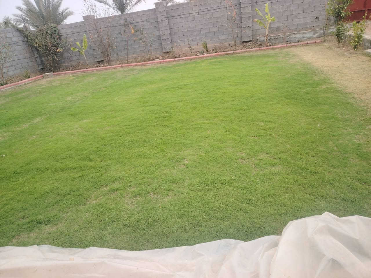 السلام عليكم اخوان عندي ثيله البيع ثيل امريكي نوعيه زينه ونضيفه


**إذا كنت صاحب هذا الإعلان وتريد حذفه لأي سبب، رجاءا أرسل رسالة إلى الدعم الفني**