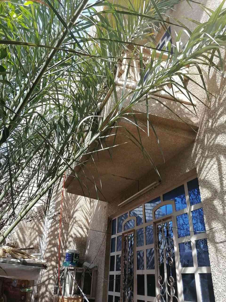 دار للبيع
المساحه ١٥٠ متر مسلح نضيف بناء 2008
الواجة 10 نزال 15
يحتوي على 
طرمه كبيره 
مطبخ 
صاله كبيره 
حولي 
٤ غرف نوم 
منور 
صحيات ٣ 
مخزن +صطح ع مساحه البيت 
المكان الحرية الثانية محلة 426 
بشارع ابو فراس ابو الفلافل الاتصال علة الرقم ‭٠٧٩٠ ١١٦ ٨٠٣٩
